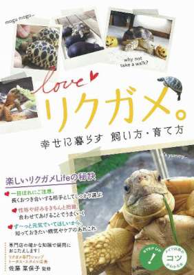 リクガメ。幸せに暮らす飼い方・育て方