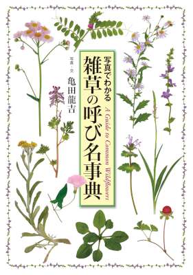 [亀田龍吉] 雑草の呼び名事典 写真でわかる (+散歩編)