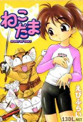 [えびふらい] ねこだま SPIRIT OF TAILS 全01巻