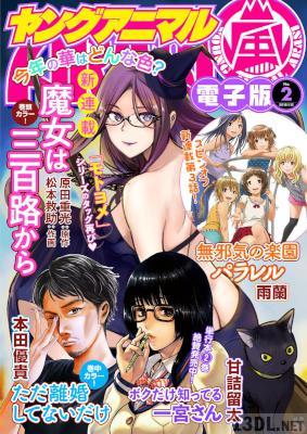 ヤングアニマル嵐 2018年02月号 ヤングアニマル嵐 2018年02月号