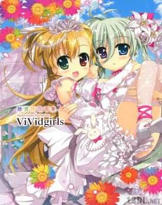 [藤真拓哉] 藤真拓哉画集 ViVidgirls