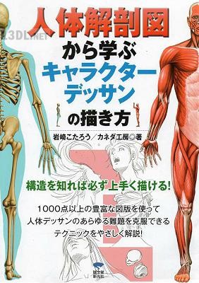 人体解剖図から学ぶキャラクターデッサンの描き方 人体解剖図から学ぶキャラクターデッサンの描き方