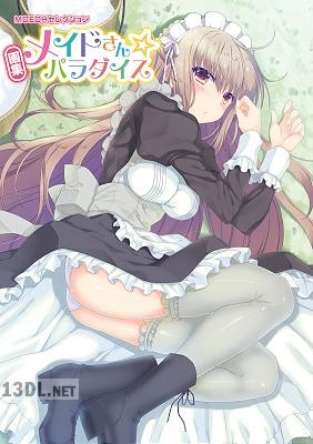 MOEOHセレクション 画集 メイドさん☆パラダイス MOEOHセレクション 画集 メイドさん☆パラダイス