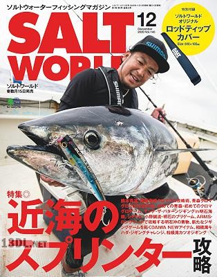 SALT WORLD (ソルトワールド) 2020年12月号 SALT WORLD (ソルトワールド) 2020年12月号