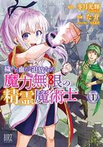 <b>作品内容:</b><br>生まれつき右手に刻まれた《悪魔の刻印》のせいで、まったく魔法が使えない少女リアナ。それを理由にギルドマスターである父にも家を追い出されてしまうが、途方に暮れ辿り着いた隣国で、宮廷鑑定士の青年エルヴィンにスカウトされる。エルヴィンはリアナの右手の刻印を、精霊の魔力を吸い込み周囲に分け与える【パワースポット】だと言うが――…! 「穢れた血」と蔑まれた少女が、魔力無限の力で活躍する、「なろう」発、大人気冒険ハイファンタジー!
